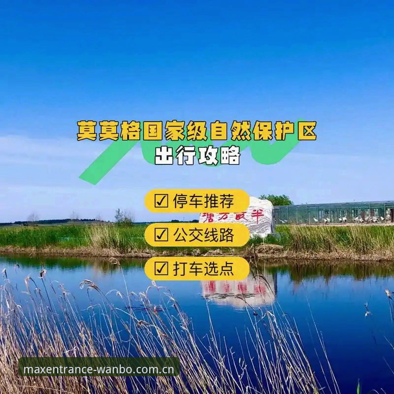 世界杯观赛之旅受阻？万博max平台带你深度解析国际赛事出行指南
